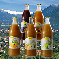 Каталог товаров